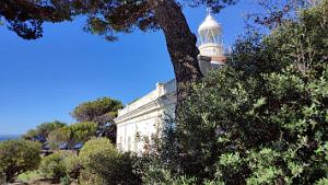 Rosas - Le Phare - 33